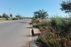 Streets