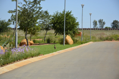 Street